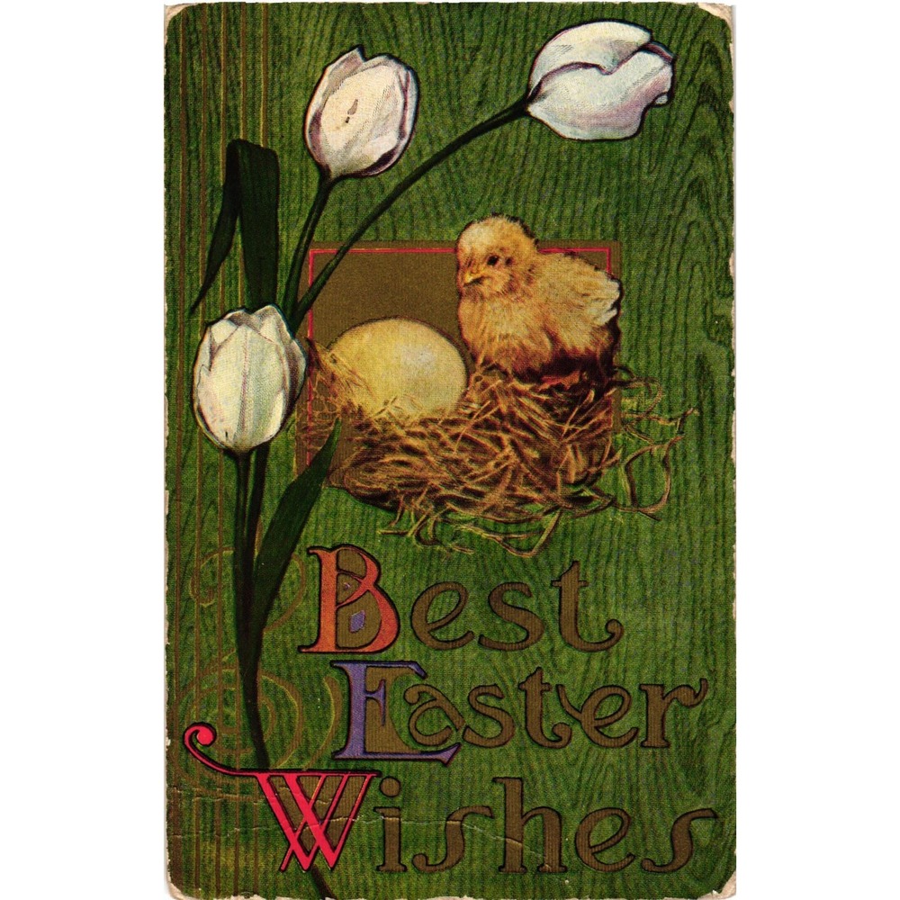 Vintage Best Easter Wishes Postcard Chick Tulips Series No 77